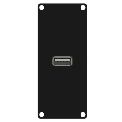 CAYMON CASY162/B Panel CASY przejściem: USB 2.0 – 4-pinowe złącze skręcane, 1-modułowy, czarna